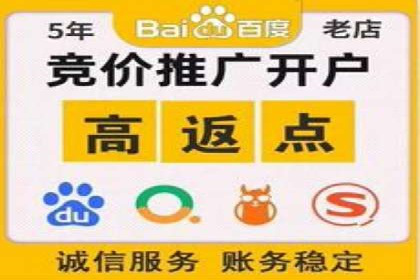 网络推广秘籍：竞价排名成功案例集锦